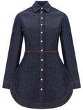Light luxury slim fit waist cinched denim top for women in spring and autumn, new European and American niche design, commuting temperament shirt